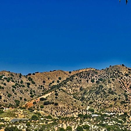 Finca Limoneros Daire Alora Dış mekan fotoğraf