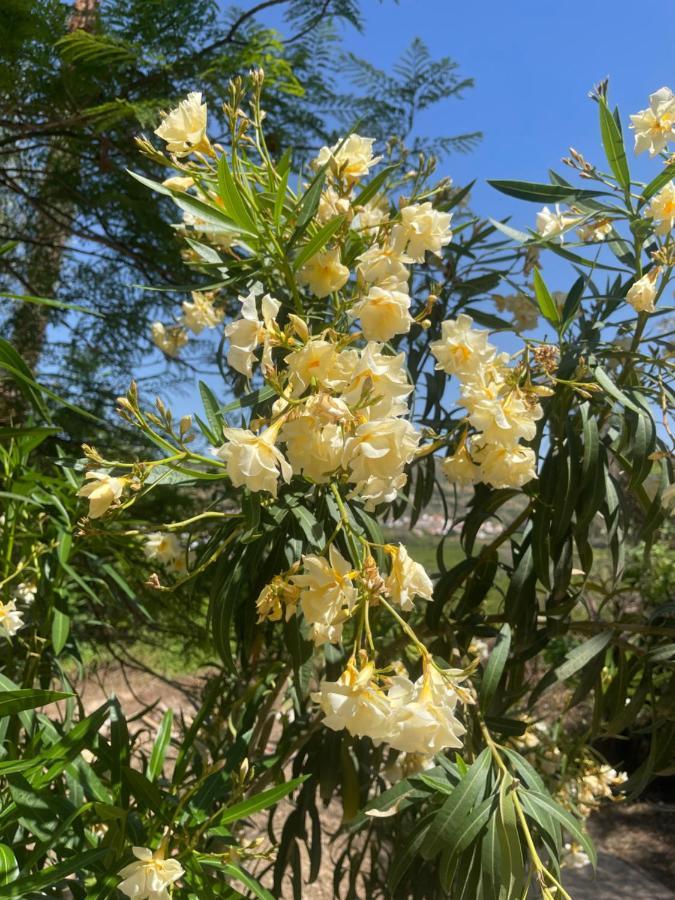 Finca Limoneros Daire Alora Dış mekan fotoğraf