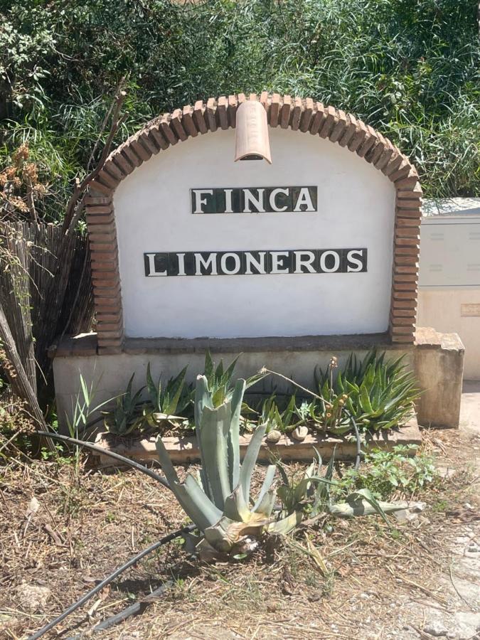 Finca Limoneros Daire Alora Dış mekan fotoğraf