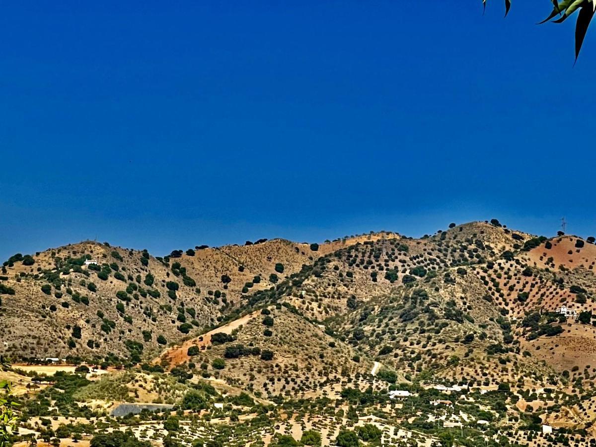 Finca Limoneros Daire Alora Dış mekan fotoğraf