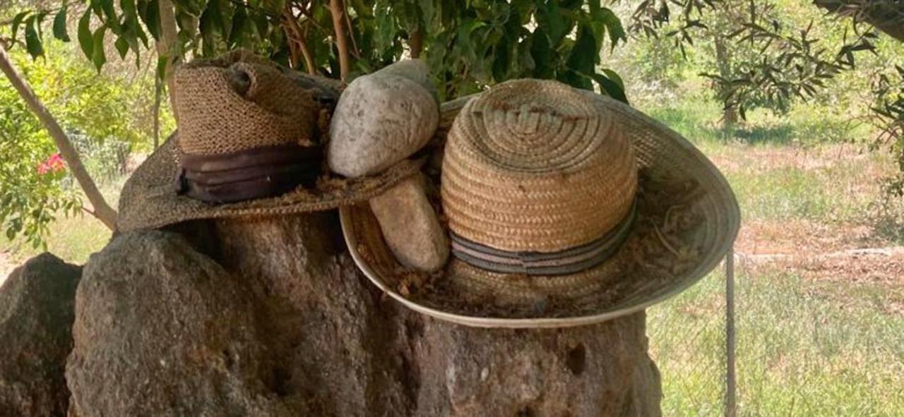 Finca Limoneros Daire Alora Dış mekan fotoğraf